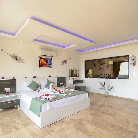 Mabel Villa