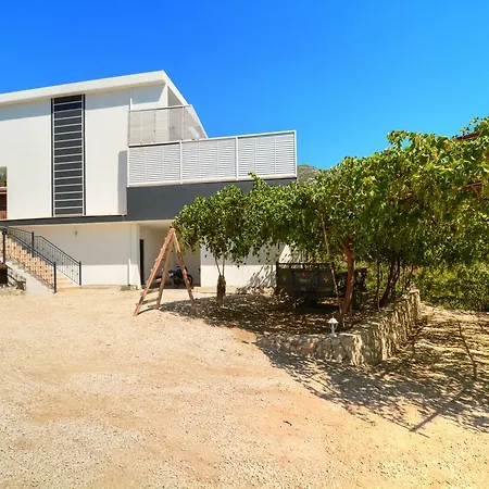 Mabel Villa *